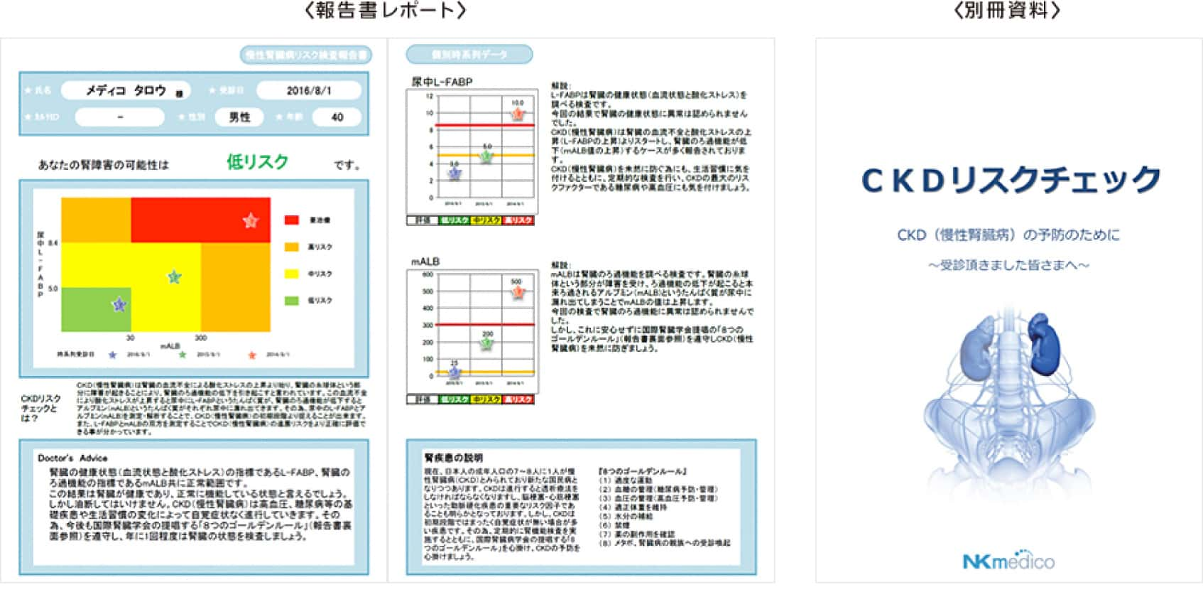 検査レポート