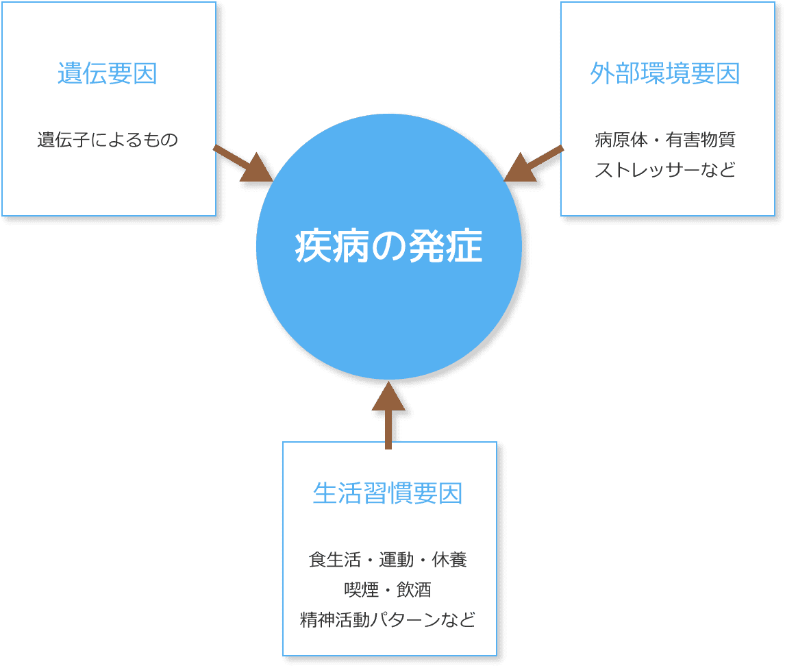 疾病の発症 遺伝要因 遺伝子によるもの 外部環境要因 病原体・有害物質 ストレッサーなど 生活習慣要因 食生活・運動・休養 喫煙・飲酒 精神活動パターンなど