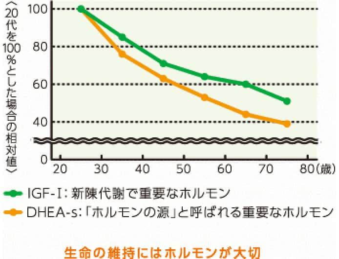 年齢とホルモン量の関係