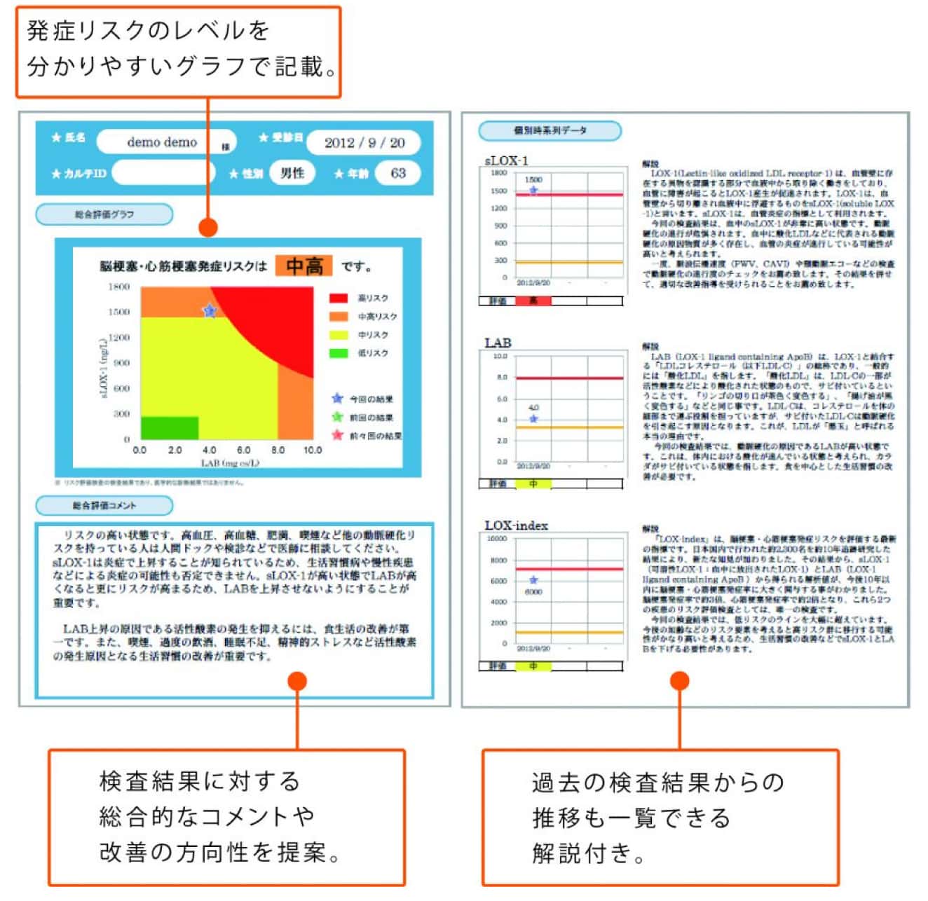 ロックスインデックス検査結果説明レポート